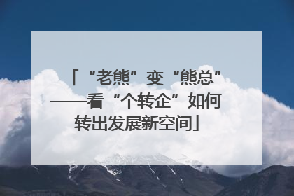 “老熊”变“熊总”——看“个转企”如何转出发展新空间