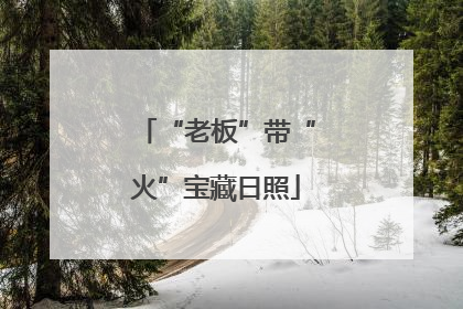 “老板”带“火”宝藏日照