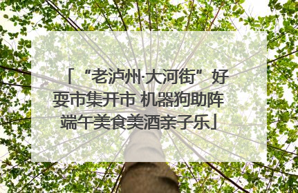 “老泸州·大河街”好耍市集开市 机器狗助阵端午美食美酒亲子乐