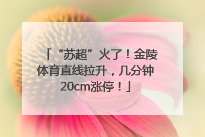 “苏超”火了！金陵体育直线拉升，几分钟20cm涨停！