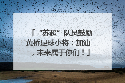 “苏超”队员鼓励黄桥足球小将：加油，未来属于你们！