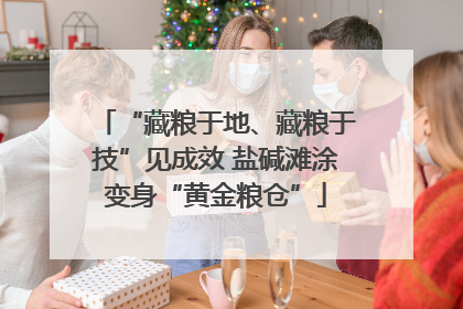 “藏粮于地、藏粮于技”见成效 盐碱滩涂变身“黄金粮仓”