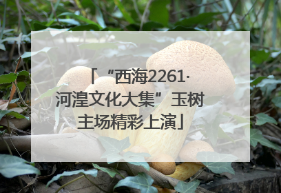“西海2261·河湟文化大集”玉树主场精彩上演
