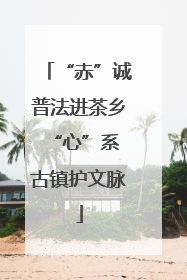 “赤”诚普法进茶乡 “心”系古镇护文脉