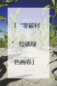 “零碳村” 绘就绿色画卷
