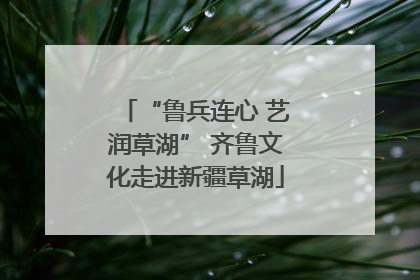 “鲁兵连心 艺润草湖” 齐鲁文化走进新疆草湖