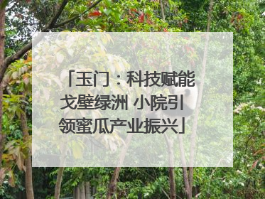 玉门：科技赋能戈壁绿洲 小院引领蜜瓜产业振兴