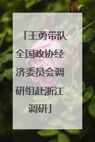 王勇带队全国政协经济委员会调研组赴浙江调研