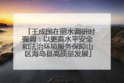 王成国在丽水调研时强调：以更高水平安全和法治环境服务保障山区海岛县高质量发展