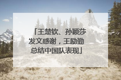 王楚钦、孙颖莎发文感谢，王励勤总结中国队表现
