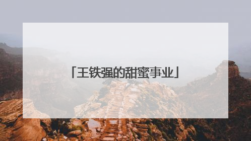 王铁强的甜蜜事业