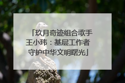 玖月奇迹组合歌手王小玮：基层工作者守护中华文明曙光