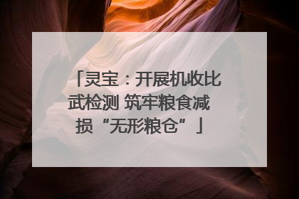 灵宝：开展机收比武检测 筑牢粮食减损“无形粮仓”