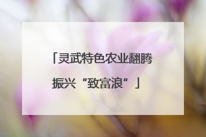 灵武特色农业翻腾振兴“致富浪”