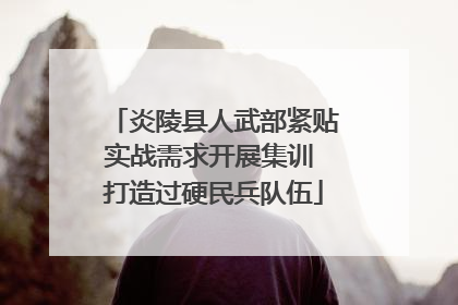 炎陵县人武部紧贴实战需求开展集训 打造过硬民兵队伍