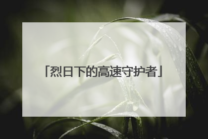 烈日下的高速守护者