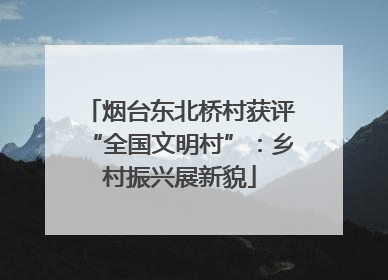 烟台东北桥村获评“全国文明村”：乡村振兴展新貌