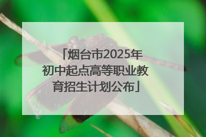 烟台市2025年初中起点高等职业教育招生计划公布