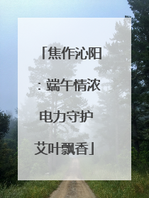 焦作沁阳：端午情浓 电力守护艾叶飘香