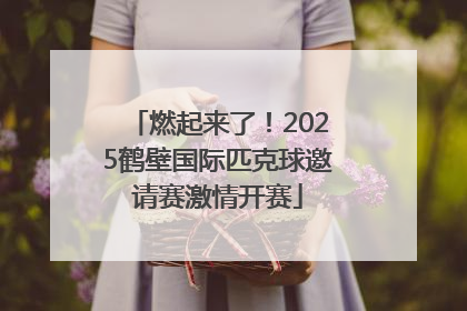 燃起来了！2025鹤壁国际匹克球邀请赛激情开赛