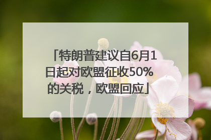 特朗普建议自6月1日起对欧盟征收50%的关税，欧盟回应