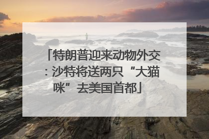 特朗普迎来动物外交：沙特将送两只“大猫咪”去美国首都