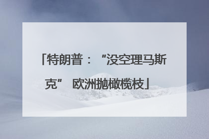 特朗普：“没空理马斯克” 欧洲抛橄榄枝