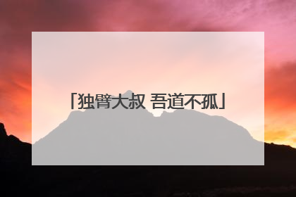 独臂大叔 吾道不孤