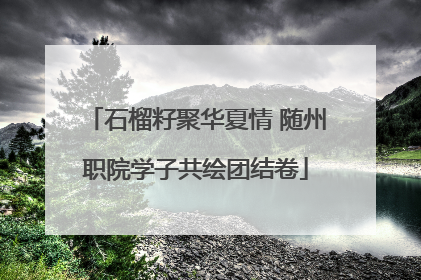 石榴籽聚华夏情 随州职院学子共绘团结卷