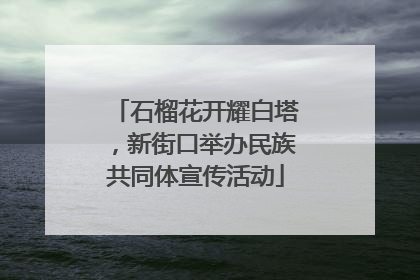 石榴花开耀白塔，新街口举办民族共同体宣传活动