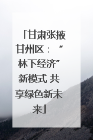 甘肃张掖甘州区：“林下经济”新模式 共享绿色新未来