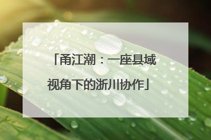 甬江潮：一座县域视角下的浙川协作