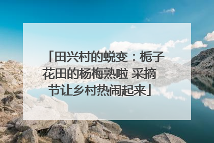 田兴村的蜕变：栀子花田的杨梅熟啦 采摘节让乡村热闹起来