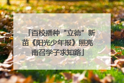 百校播种“立德”新苗《阳光少年报》照亮南召学子求知路