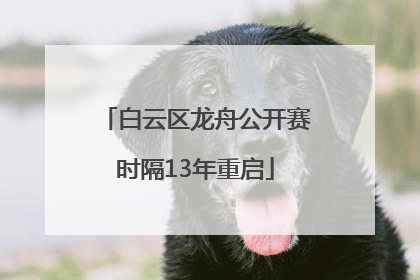 白云区龙舟公开赛时隔13年重启