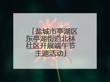 盐城市亭湖区东亭湖街道北林社区开展端午节主题活动