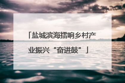 盐城滨海擂响乡村产业振兴“奋进鼓”