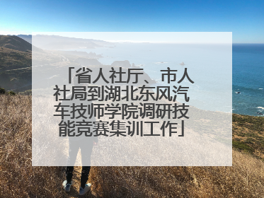 省人社厅、市人社局到湖北东风汽车技师学院调研技能竞赛集训工作
