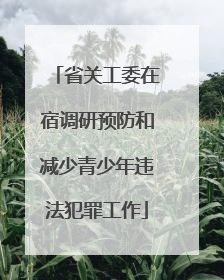 省关工委在宿调研预防和减少青少年违法犯罪工作