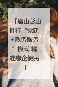 眉山彭山推行“党建+政务服务”模式 精准惠企便民