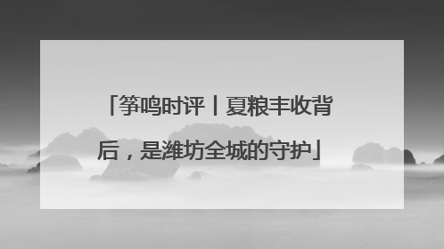 筝鸣时评丨夏粮丰收背后，是潍坊全城的守护