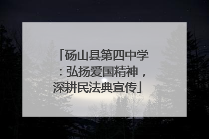 砀山县第四中学：弘扬爱国精神，深耕民法典宣传