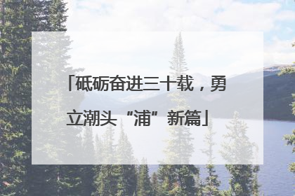 砥砺奋进三十载，勇立潮头“浦”新篇