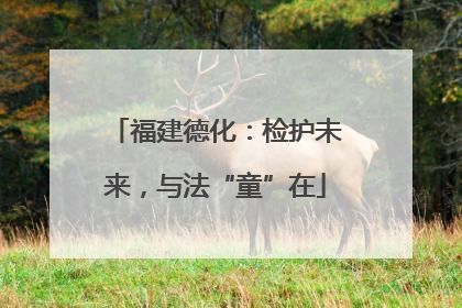 福建德化：检护未来，与法“童”在