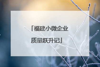 福建小微企业质量跃升记