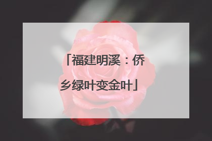 福建明溪：侨乡绿叶变金叶