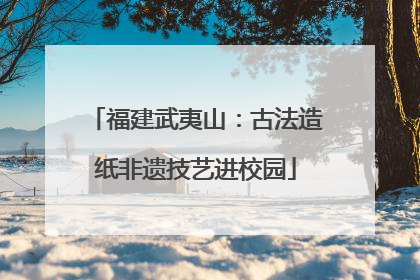 福建武夷山：古法造纸非遗技艺进校园