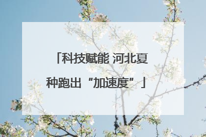 科技赋能 河北夏种跑出“加速度”