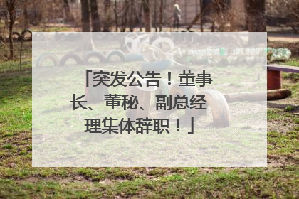 突发公告！董事长、董秘、副总经理集体辞职！