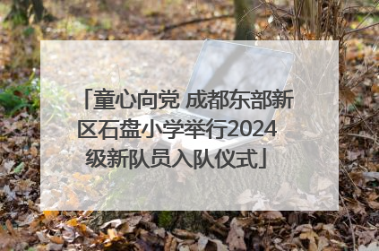 童心向党 成都东部新区石盘小学举行2024级新队员入队仪式